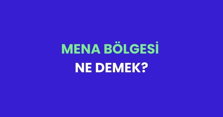 MENA Bölgesi Ne Demek? MENA Bölgesinde Yer Alan Ülkeler