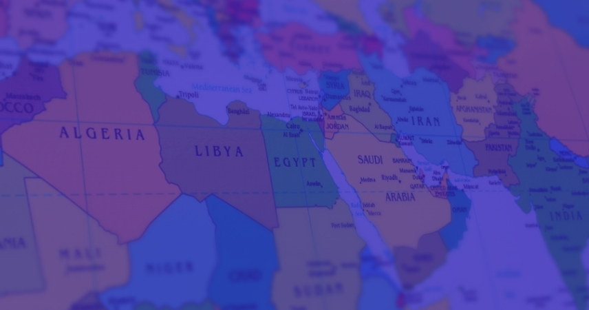 MENA Projesi Nedir?
