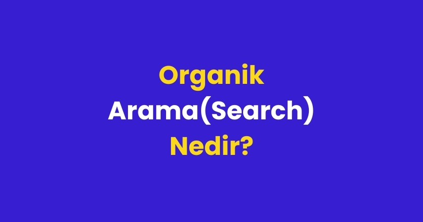 Organik Arama (Search) Nedir?