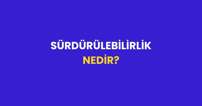 Sürdürülebilirlik Nedir? İlkeleri Nelerdir?